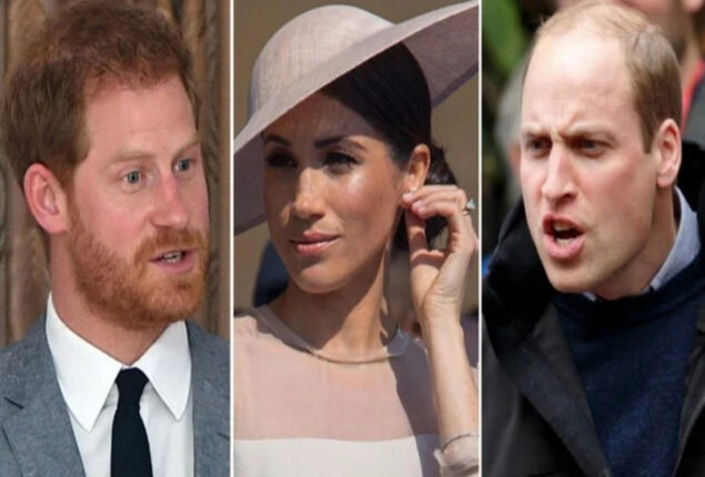 Prince William scared pregnant Meghan Markle