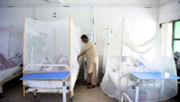 Three more people die of dengue fever in Karachi