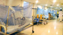 Woman dies of dengue fever in Karachi