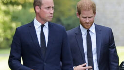 Prince Harry disrespect Prince William
