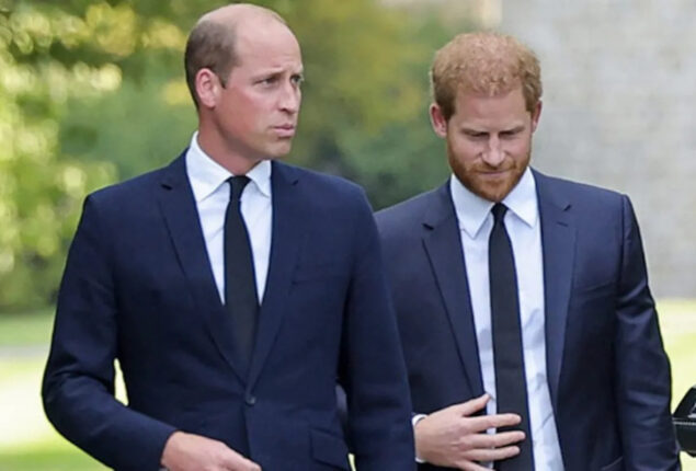 Prince William will “never forgive” Prince Harry for “serious disrespect”