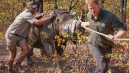 Life-threatening experience of Prince Harry being dragged by rhino