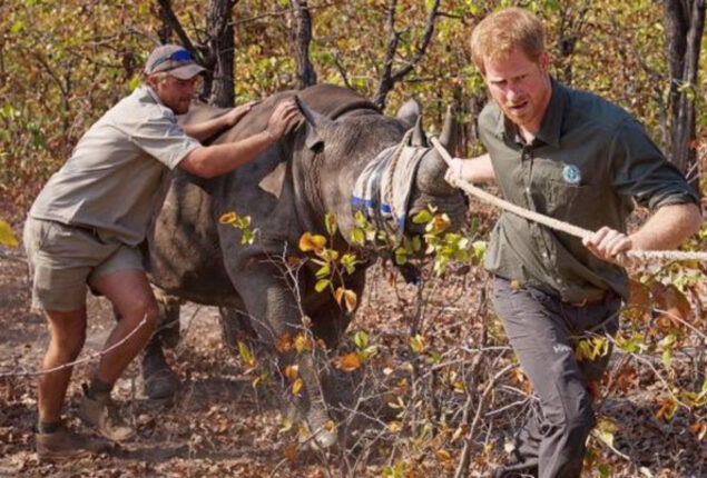 Prince Harry's Life-threatening experience