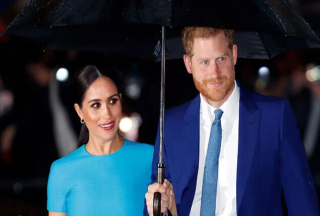 Prince Harry and Meghan Markle should ‘read the room’ more