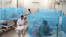 Dengue takes another woman’s life in Umerkot