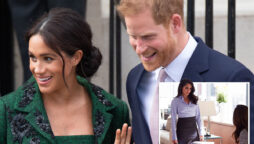 Meghan Markle professional prospects have collapsed