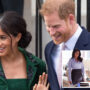 Meghan Markle professional prospects have collapsed
