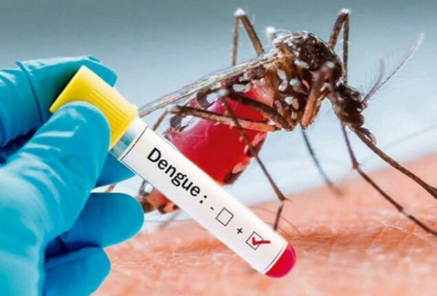 47 people die of dengue fever in Karachi this year