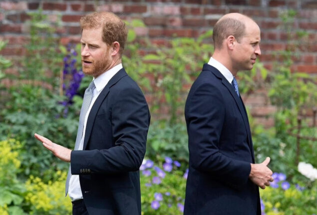 William, Harry to  find “The Crown” very hard relieving Diana’s death