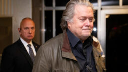 Steve Bannon