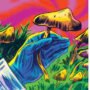 ‘Magic’ of Mushrooms