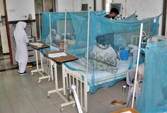 302 new dengue cases emerged in Sindh