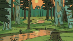Optical Illusion: Only a genius can find a hidden deer within a forest in 20 secs!