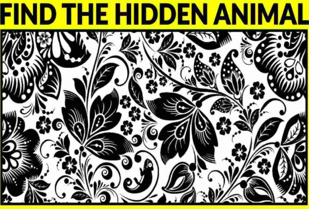 Optical Illusion: Spot the hidden animal
