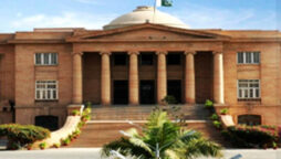 SHC orders IG Sindh to assign 50% SSU force for investigation, operation