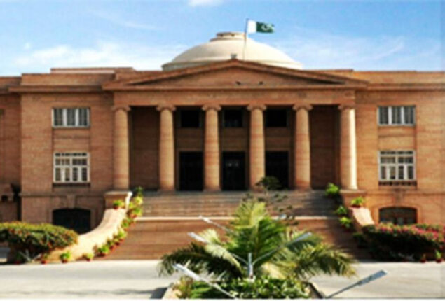 SHC orders IG Sindh to assign 50% SSU force for investigation, operation