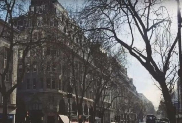 Optical Illusion: 1% can find hidden dog in city picture in 8 secs!