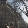 Optical Illusion: 1% can find hidden dog in city picture in 8 secs!