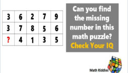 Math Riddles: Missing Number Math Problem, IQ and Test