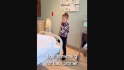 Boy gives newborn sibling nice present, then does this. Watch