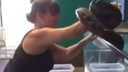 Pet Snake Attacks Owner While She Removes It From Cage: Video