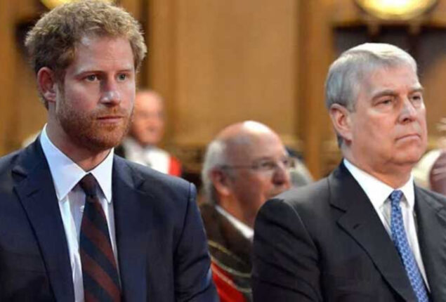 Prince Harry and Prince Andrew pushed to resign as state counsellors