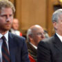 Prince Harry and Prince Andrew pushed to resign as state counsellors