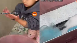 Chinese girl soaks laptop in water as father reacts harsh: Watch 