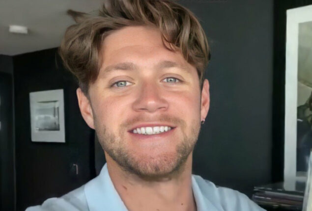 Niall Horan announces plans to release new music in 2023