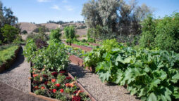 Kim Kardashian creates her own “Farm-to-Table Experience” in her home garden