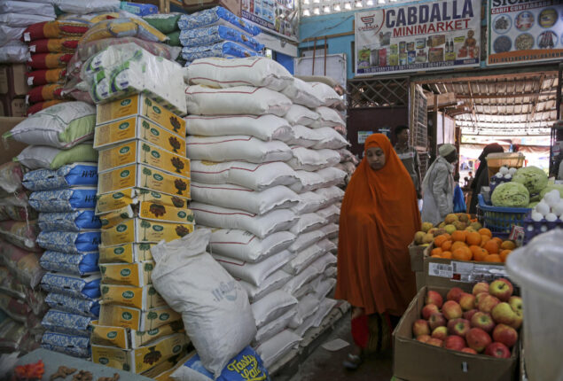 Russian envoy claims US unfairly blames Russia for global food crisis
