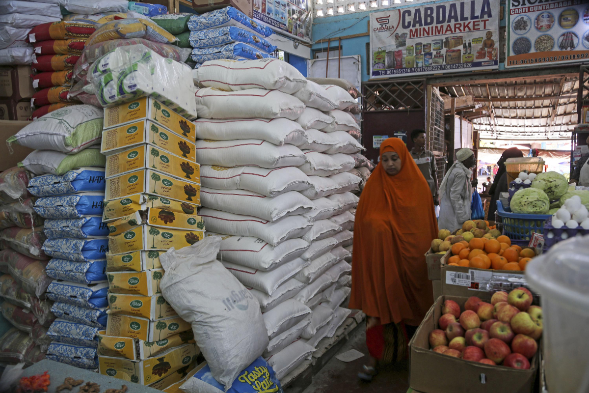 Russian envoy claims US unfairly blames Russia for global food crisis