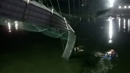 After an Indian bridge collapses, hundreds plunge into rivers