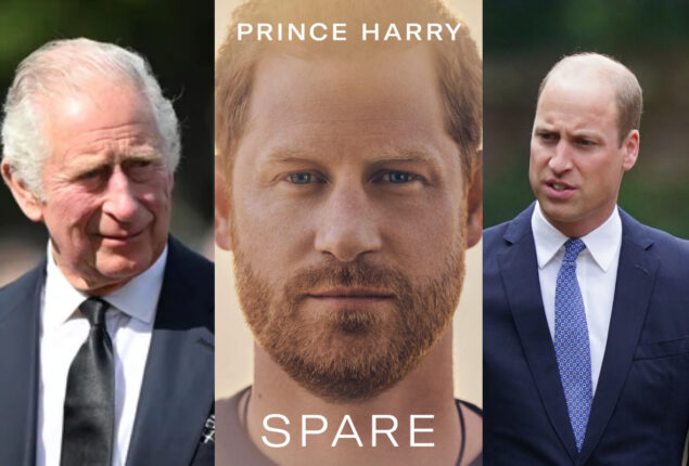 How did King Charles, Price William react to Prince Harry memoir?