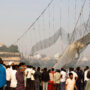 Morbi bridge collapse survivors loses hope