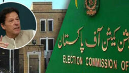 ECP adjourns contempt case hearing till Nov 10