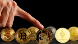 Doge Price
