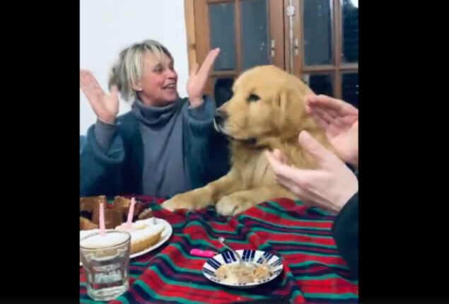 Dog’s Sweet Birthday Dance