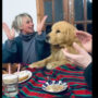 Dog’s Sweet Birthday Dance