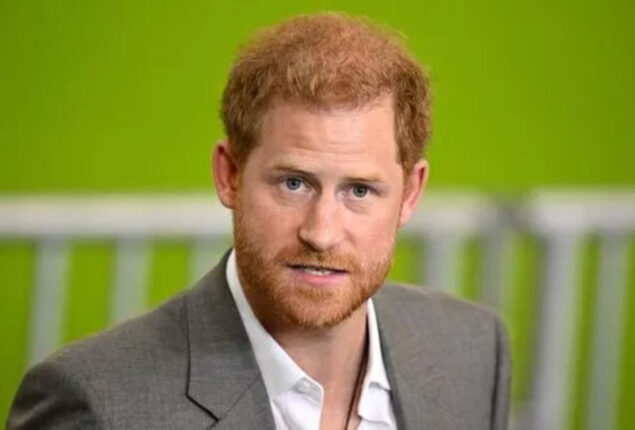 Prince Harry’s shocking biography released after months of conjecture