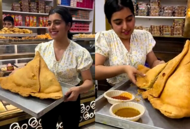 giant samosa