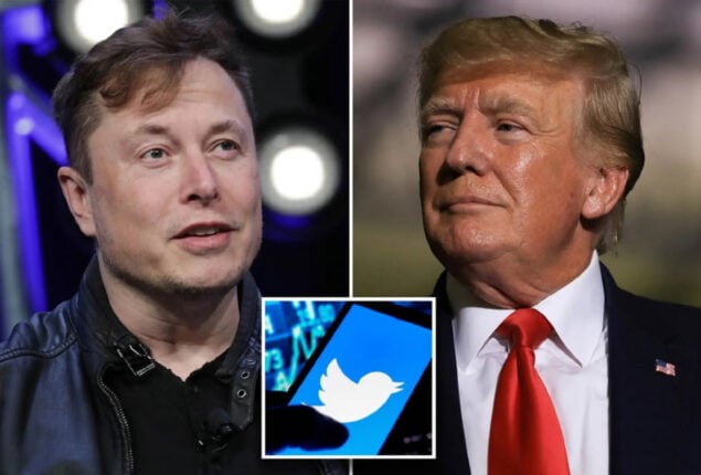 Musk takeover