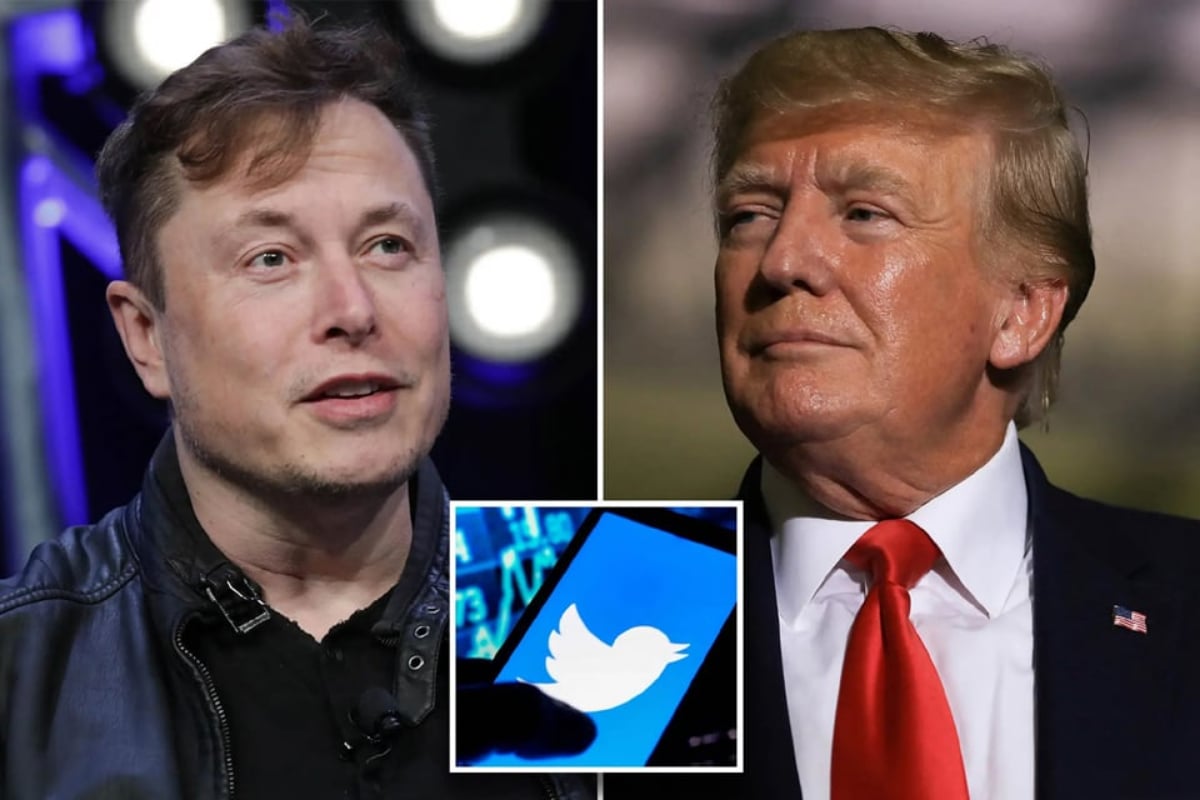 Musk takeover