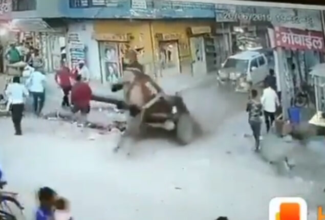 Unusual “Seat Belt” Saves Donkey in Car Accident Goes Viral