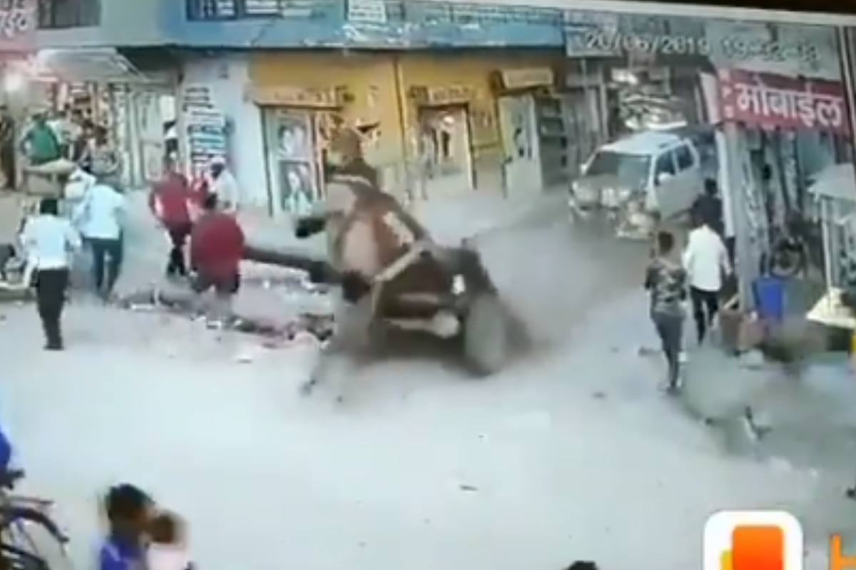 Unusual "Seat Belt" Saves Donkey in Car Accident Goes Viral