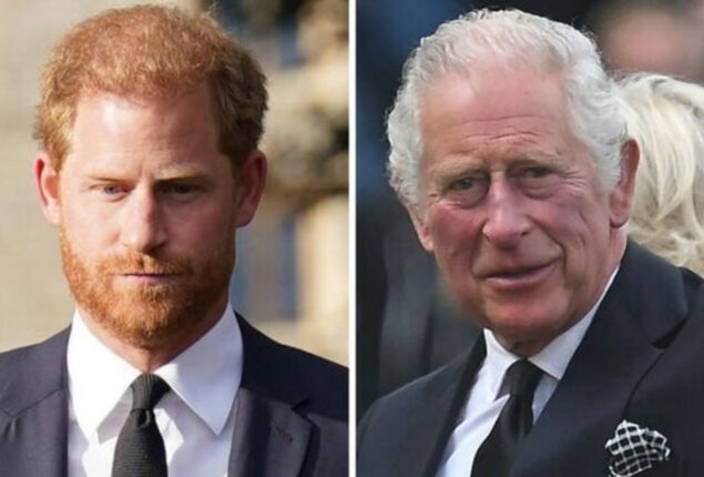 King Charles replaces Prince Harry as Royal Marines commander