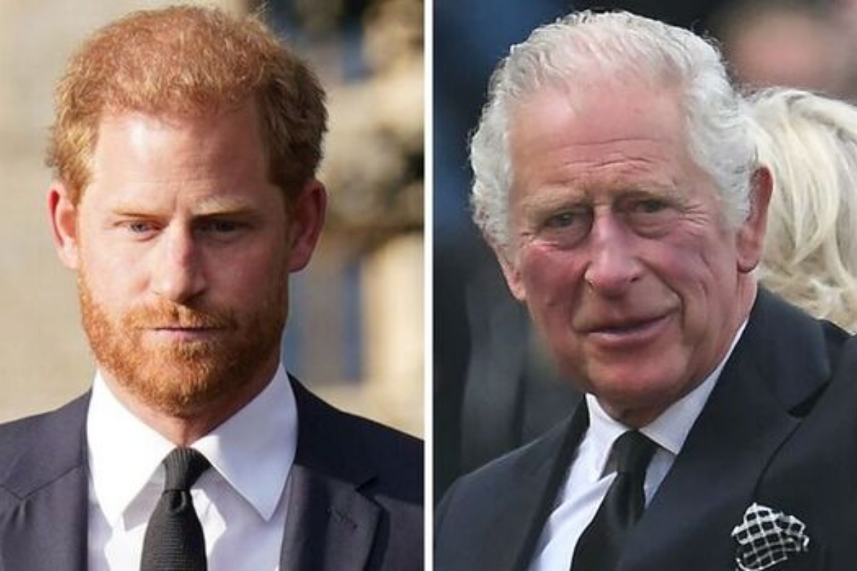 King Charles replaces Prince Harry as Royal Marines commander