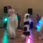 Viral: Dog dance with bride on her wedding day 