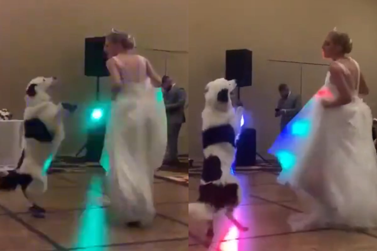 wedding day