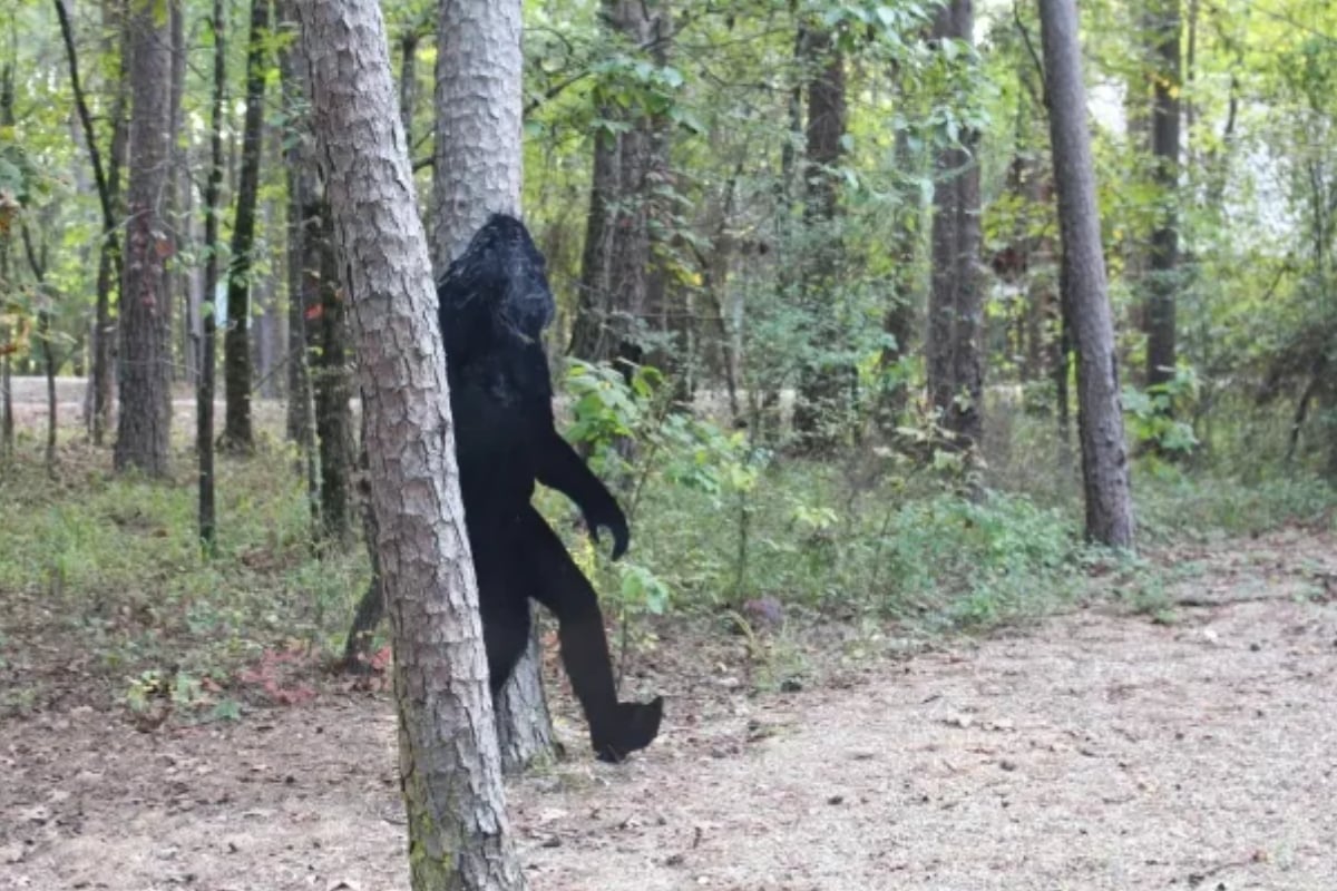 Bigfoot